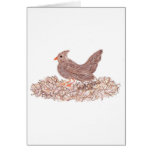 Brown Bird Card Brown Bird Card