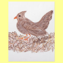 Brown Bird letterhead