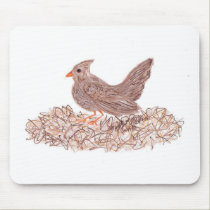 Brown Bird mousepads