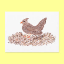 Brown Bird postcards