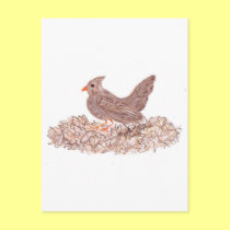 Brown Bird postcards