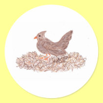 Brown Bird stickers