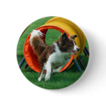 Brown Border Collie Agility Tunnel Pinback Button