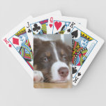 Brown Border Collie Dog Playing Cards