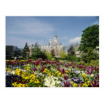 Brown Botanical gardens, Funchal, Madeira flowers Postcard