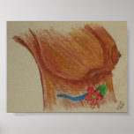 Brown Breasts Poster posters
