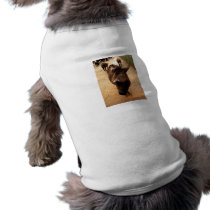 Brown Buddy Dog T-shirt