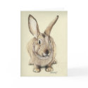 "Brown Bunny" Animal Art Greeting Card