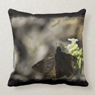 Brown Butterfly Black Edge Pillow