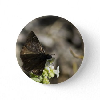 Brown Butterfly Button