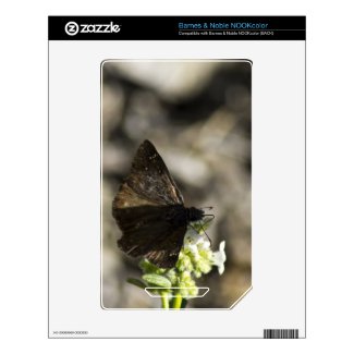 Brown Butterfly Decal For Nook Color