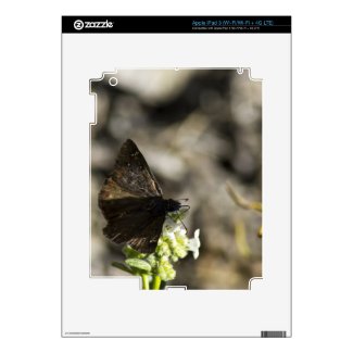 Brown Butterfly Ipad 3 Skins