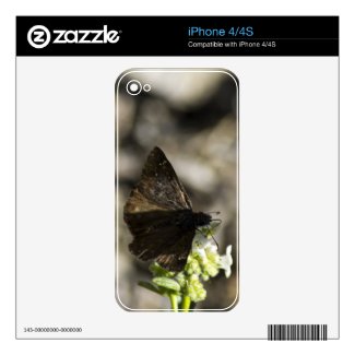 Brown Butterfly Iphone 4 Decal