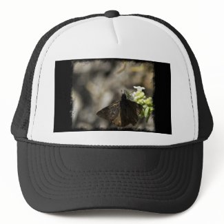 Brown Butterfly Mesh Hats