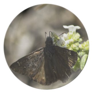 Brown Butterfly Party Plate