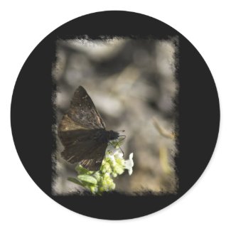 Brown Butterfly Round Sticker