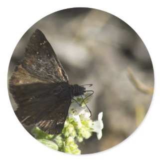 Brown Butterfly Round Stickers