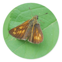 brown butterfly stickers