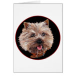 Brown Cairn Terrier Card