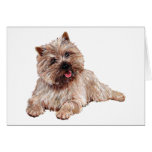 Brown Cairn Terrier Card