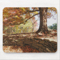 Brown County Autumn Mousepad mousepads