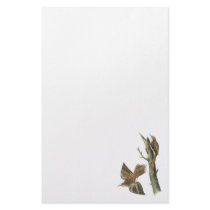 Brown Creeper, John Audubon Custom Stationery
