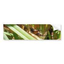 Brown Cricket Bumper Sticker