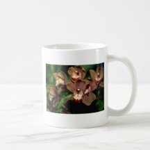 Brown Cymbidium flowers Coffee Mugs