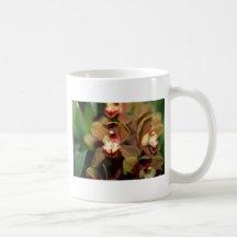 Brown Cymbidium flowers Mug