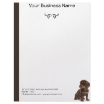 Brown Dachshund Puppy sitting at the lower right Customized Letterhead
