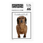 Brown Dachshund Stamps