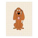 Brown Dog Cartoon. Hound. Postcard