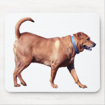 Brown Dog Mousepad mousepads