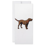 Brown Dog Custom Rack Card