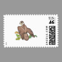 brown eagle