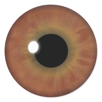 brown iris eye