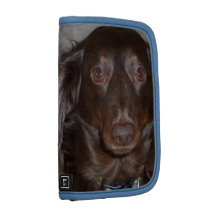 BROWN-EYED BEAUTY FOLIO PLANNERS