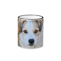 Brown eyed dog coffee mugs