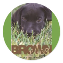 Brown Eyes cover (Custom) stickers
