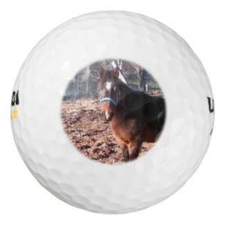 Brown Farm Horse Raleigh County Pack Of Golf Balls