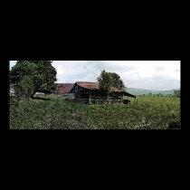 Brown Farm, Irving College Tennessee posters
