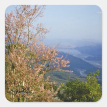 Brown Flowering tree overlooking Phewatal flowers Sticker