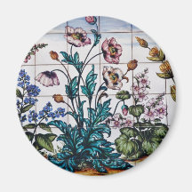 Brown Flowers in a pharmacy, Triana, Seville, Spai Magnet