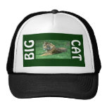 Brown Fur Black Stripes Tiger Sitting Big Cat Hat