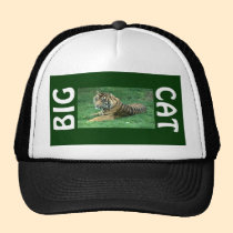 Brown Fur Black Stripes Tiger Sitting Big Cat Hat