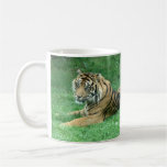 Brown Fur Black Stripes Tiger Sitting Mug