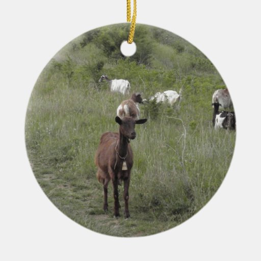 brown goat christmas tree ornament zazzle brown goat christmas tree ornament zazzle