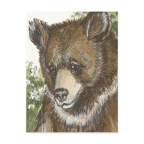Brown Grizzly Cub postcards