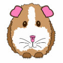 Brown Guinea Pig photo sculptures by totallypainted Brown Guinea Pig photo sculptures