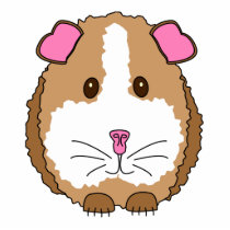 Brown Guinea Pig photo sculptures